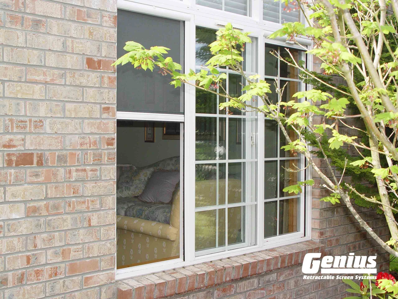 Genius® Retractable Window Screens - Image 6