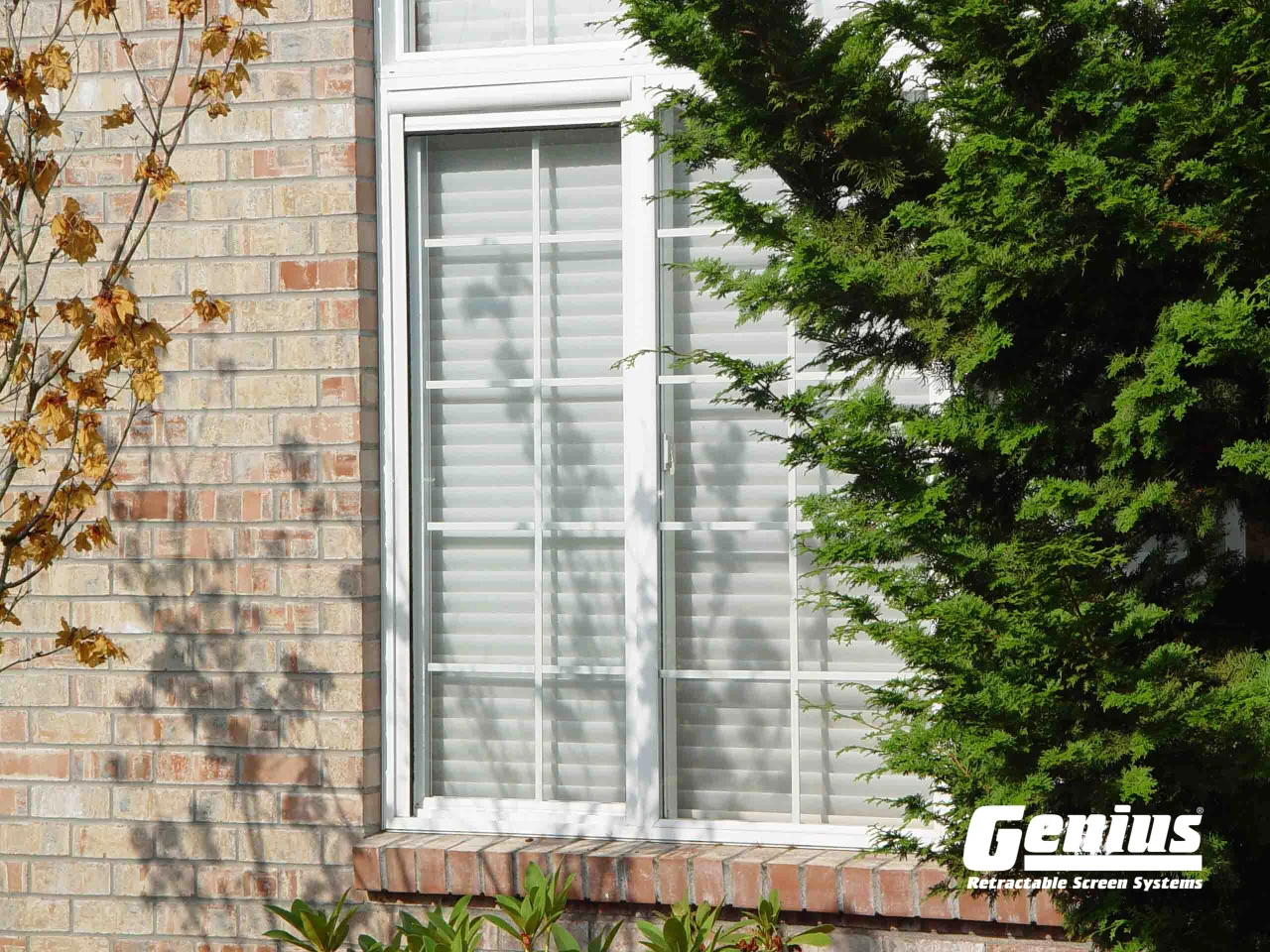Genius® Retractable Window Screens - Image 5